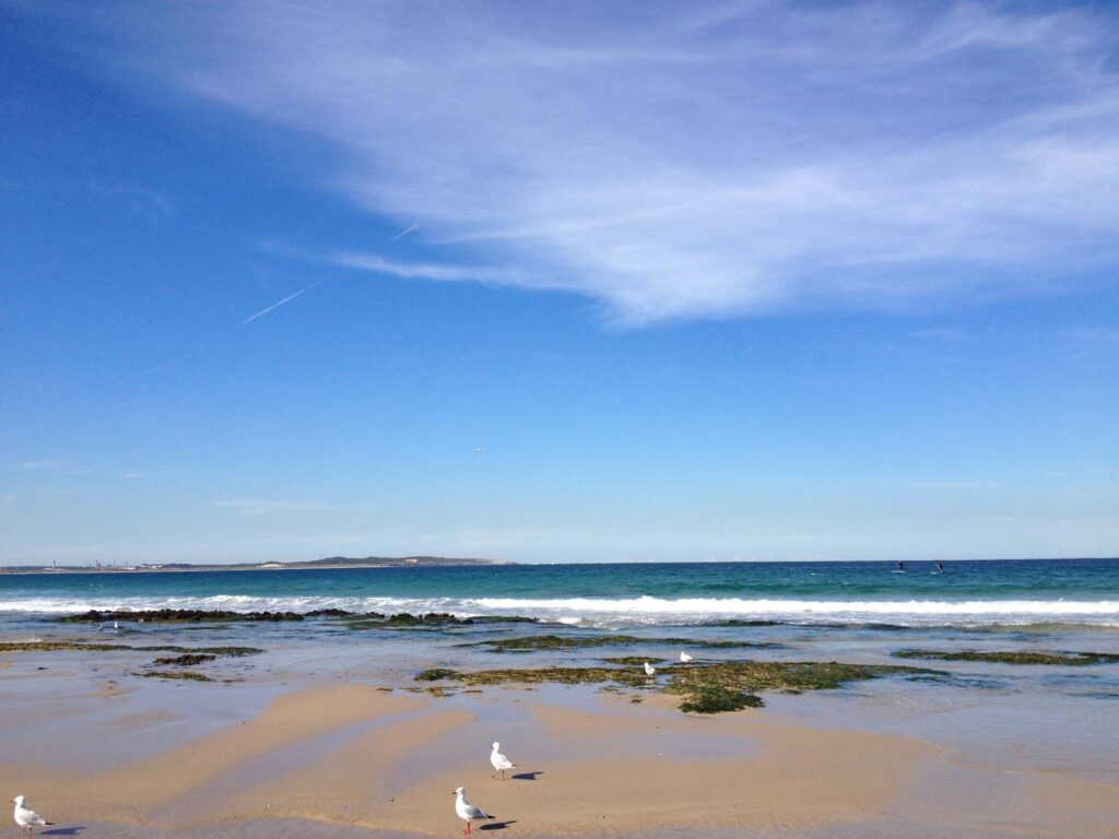 Sydney beach image Sydney beach image